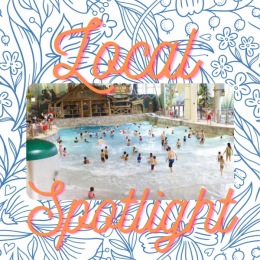 Did you know that Great Wolf Lodge has a water park? Did you also know  that you can purchase a day pass just for the water park?! 
.
.
.
.
.
#greatwolflodge #waterpark #summerfun #thingstodoinconcord #wayfordatconcord #concordnc #leasetoday Instagram post from @wayfordconcord on June 25, 2022 08:00:08am